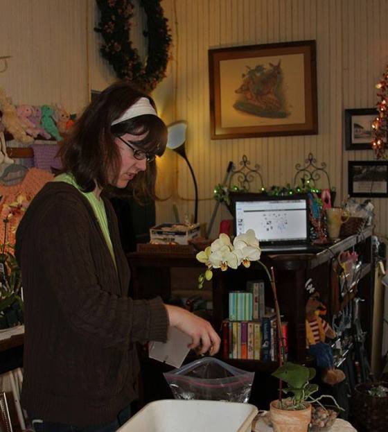 Emily of Sophia Sky Designs shows how to re-pot an orchid, starting with soil in the pot.